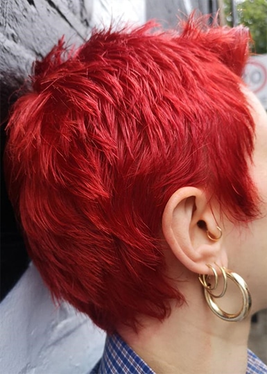 Blue Tit London Short Back and Sides Red